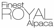 Finest Royal Alpaca -- 100 % Royal Alpaka