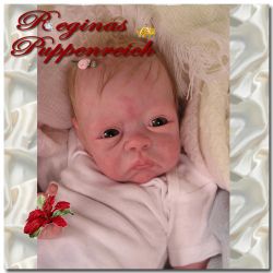 Paige Awake Kit - Tasha Edenholm