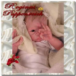 Paige Awake Kit - Tasha Edenholm