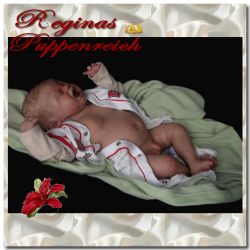 Frontplate und Backplate fr Boys/Girls von Donna RuBert