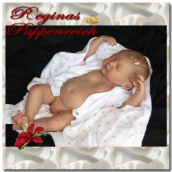 Frontplate und Backplate fr Boys/Girls von Donna RuBert