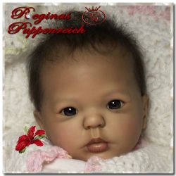 Kimi Awake Kit - Donna Rubert