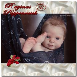 Blaze-Kit von Donna Rubert