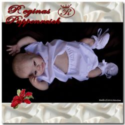 Kadence Awake Kit - Denise Pratt