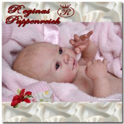 Kadence Awake Kit - Denise Pratt