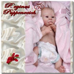 Kadence Awake Kit - Denise Pratt