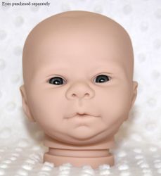 Kadence Awake Kit - Denise Pratt
