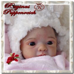 Jaycee- Kit von Phil Donnelly