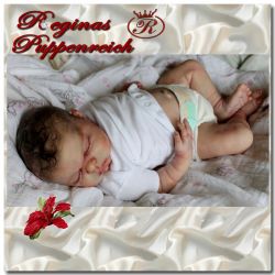 Celeste Sleeping Kit - Cindy Musgrove