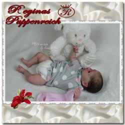 Cupcake Elfen Kit - Denise Pratt