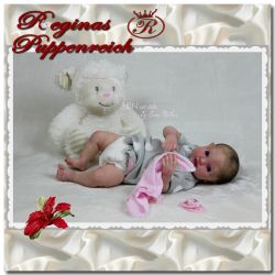 Cupcake Elfen Kit - Denise Pratt
