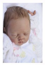 Daisy-Kit - Bonnie Brown