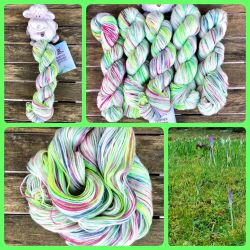 Flower Meadow - Balance