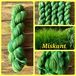 Miskant - High Twist - (4-fdig)