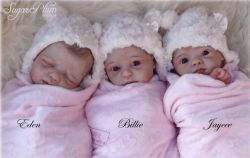 Billie Kit - Phil Donnelly