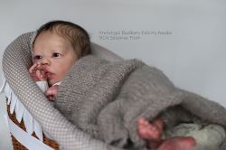 REALBORN-Kit Felicity Awake