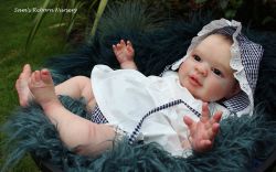 Michelle Awake6 Monate Kit - Michelle Fagan