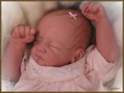 Ember Sleeping Kit - Tasha Edenholm