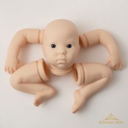 Flossie Awake Kit - Donna Rubert