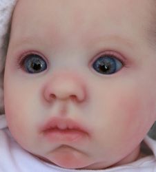 Flossie Awake Kit - Donna Rubert