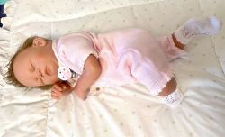 Rosaria Kit - Petra Seifert