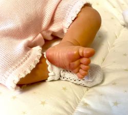 Rosaria Kit - Petra Seifert