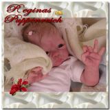 Paige Awake Kit - Tasha Edenholm