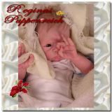 Paige Awake Kit - Tasha Edenholm