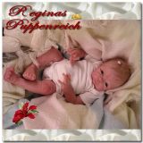 Paige Awake Kit - Tasha Edenholm