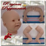 Punkin Awake Kit - Donna RuBert