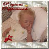 Cozy Sleeping Kit - Linda K. Smith