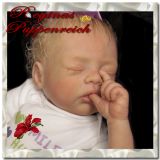 Cozy Sleeping Kit - Linda K. Smith