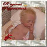 Cozy Sleeping Kit - Linda K. Smith