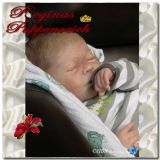 Gena Sleeping Kit - Michelle Fagan