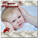 Raine Awake Kit - Michelle Fagan