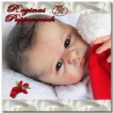 Lainey Awake Kit - Marissa May