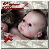 Willow Flower Awake Kit - Donna Rubert
