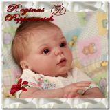 Gracie Kit - Donna RuBert