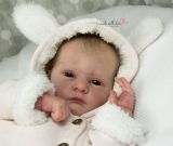 Malea-Kit von Gudrun Legler