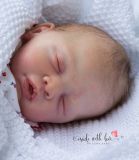 Yannie-Kit von Gudrun Legler