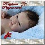 Ginger Awake Kit - Michelle Fagan