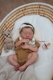 Drew Ann Sleeping - Donna RuBert