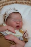 Drew Ann Sleeping - Donna RuBert