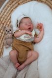 Drew Ann Sleeping - Donna RuBert