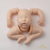 Drew Ann Sleeping - Donna RuBert