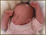 Ember Sleeping Kit - Tasha Edenholm