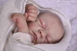 Ember Sleeping Kit - Tasha Edenholm