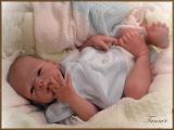 Tanner Awake Kit - Tasha Edenholm