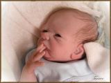 Tanner Awake Kit - Tasha Edenholm