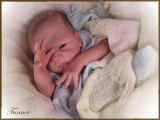 Tanner Awake Kit - Tasha Edenholm